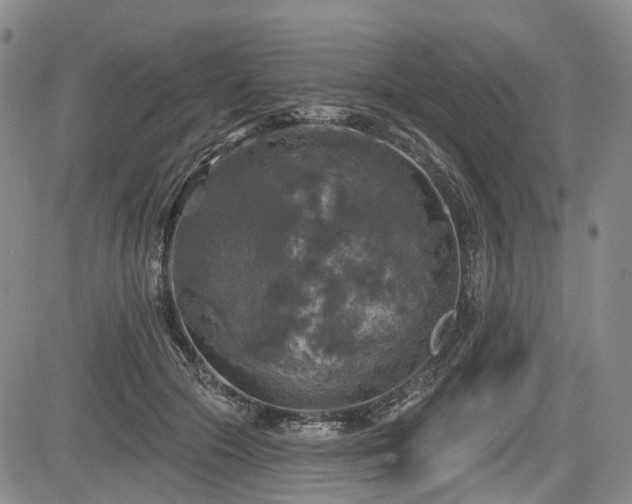 X0000084560553200703021426