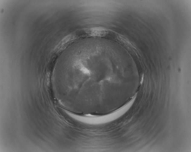 X0000084560554200703021426