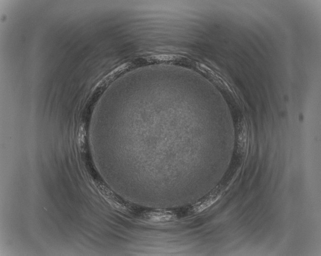 X0000084560555200703021426