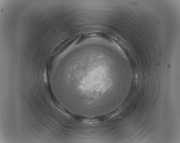 X0000084560556200703021426