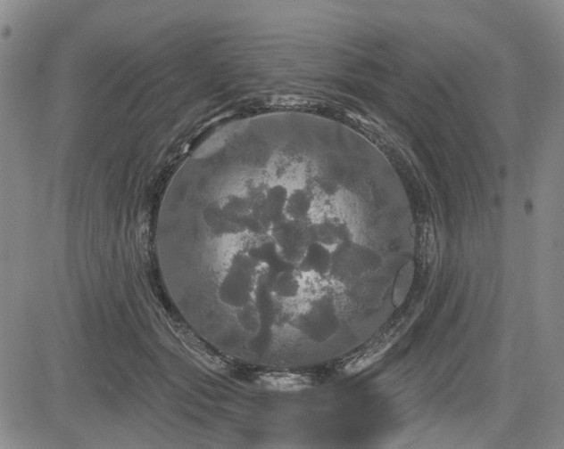 X0000084560557200703021426