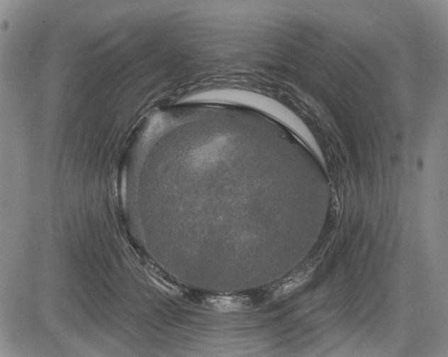 X0000084560558200703021426