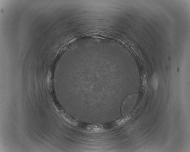 X0000084560559200703021426