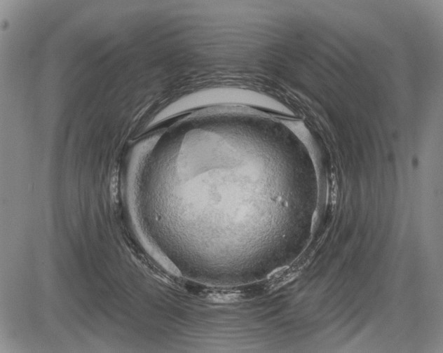 X0000084560560200703021426