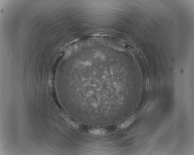 X0000084560561200703021426