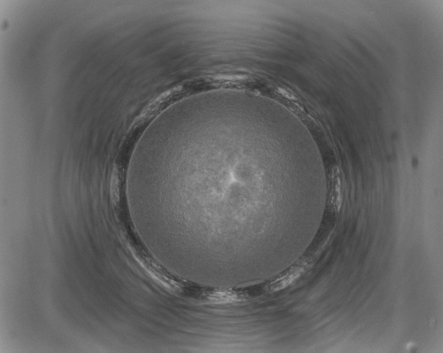 X0000084560562200703021426