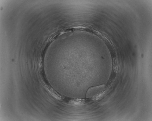 X0000084560563200703021426