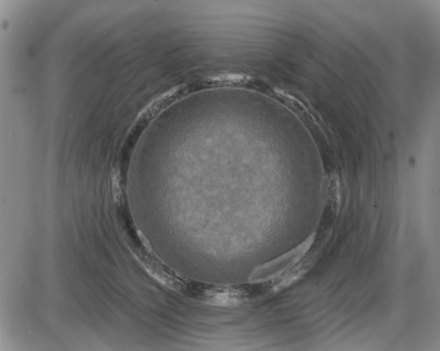 X0000084560564200703021426