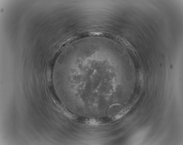 X0000084560565200703021426