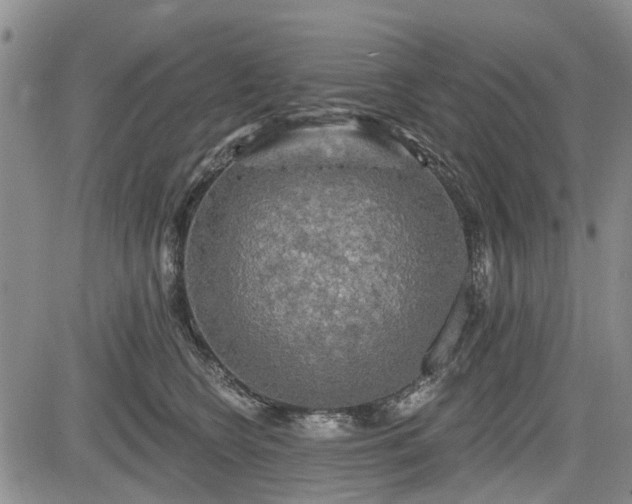 X0000084560566200703021426