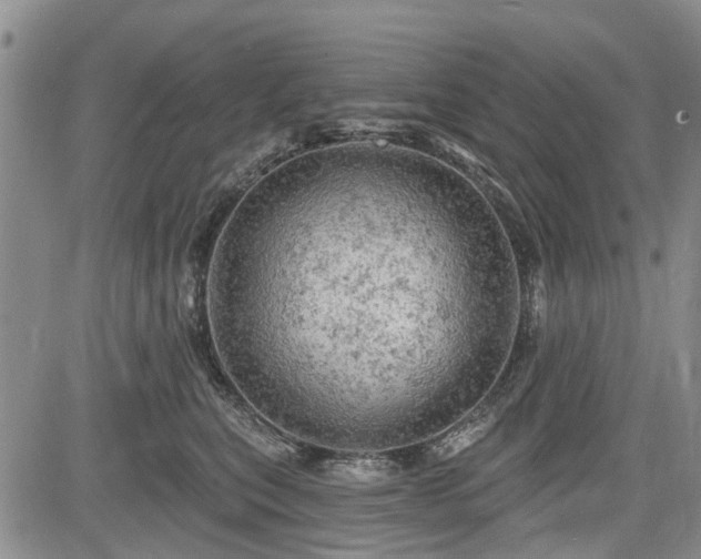 X0000084560567200703021426