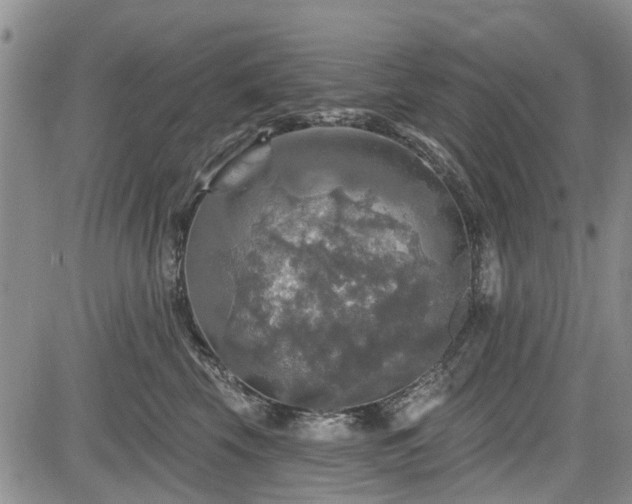 X0000084560569200703021426