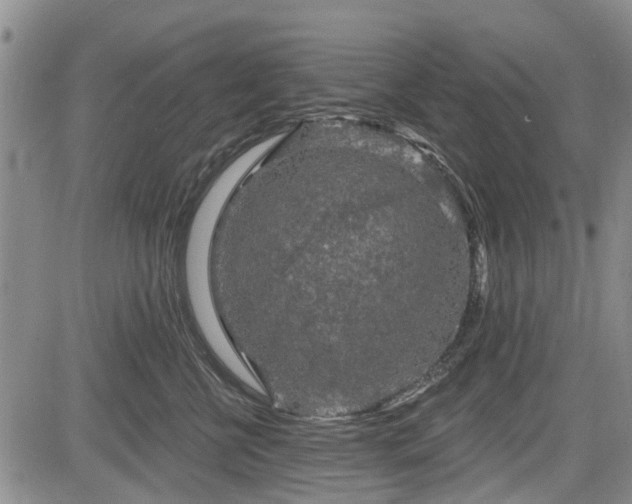 X0000084560570200703021426