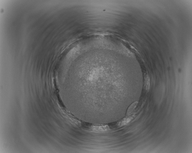 X0000084560571200703021426