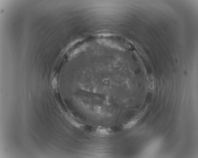 X0000084560573200703021426