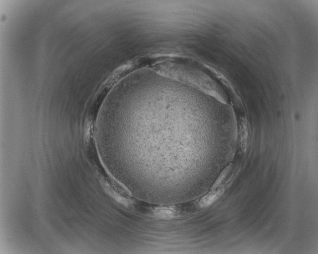 X0000084560574200703021426