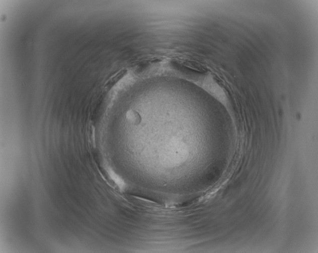 X0000084560576200703021426