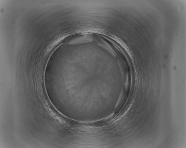 X0000084560577200703021426