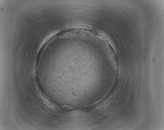 X0000084560578200703021426