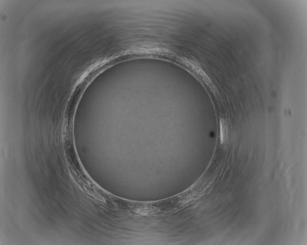 X0000084560579200703021426