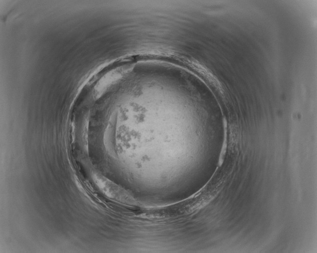 X0000084560580200703021426