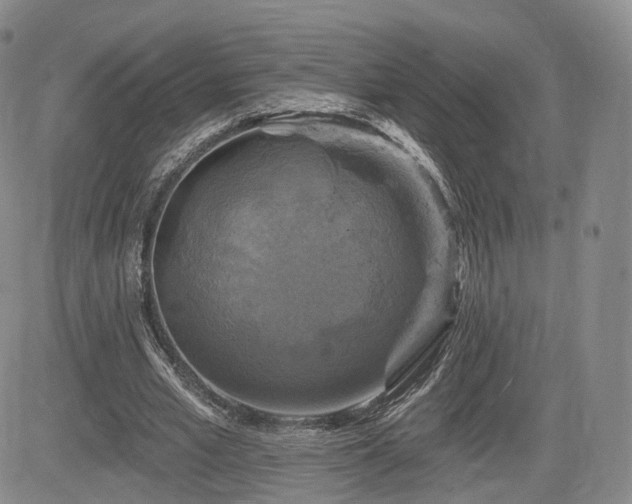 X0000084560581200703021426