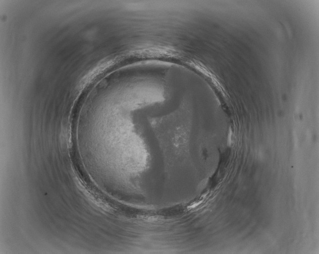 X0000084560582200703021426