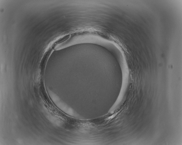 X0000084560583200703021426