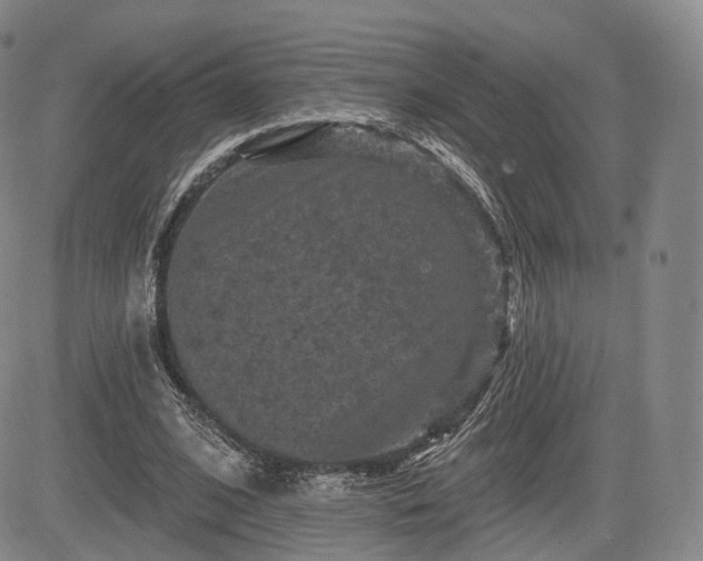 X0000084560584200703021426