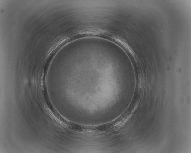 X0000084560585200703021426