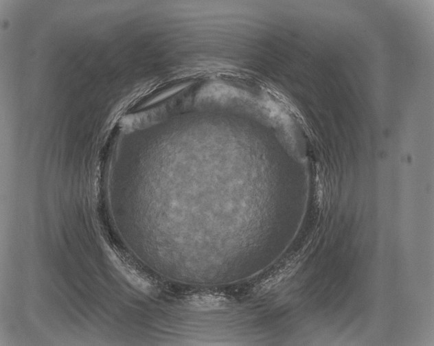 X0000084560586200703021426