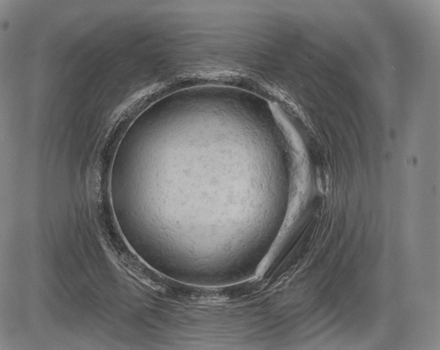 X0000084560587200703021425