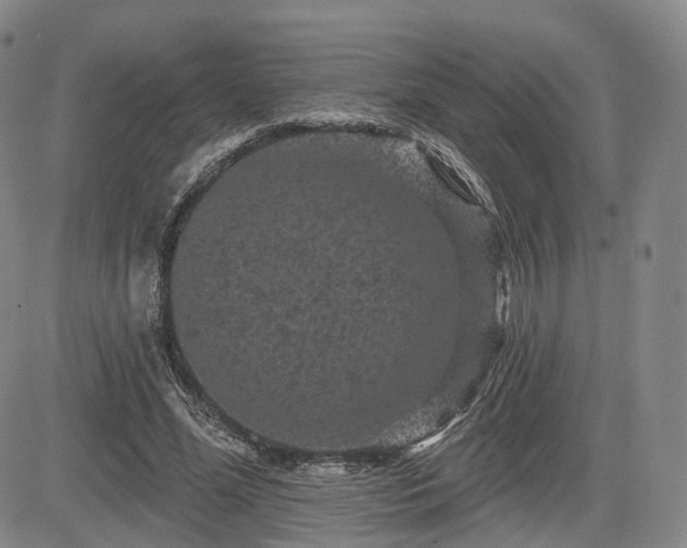 X0000084560588200703021425