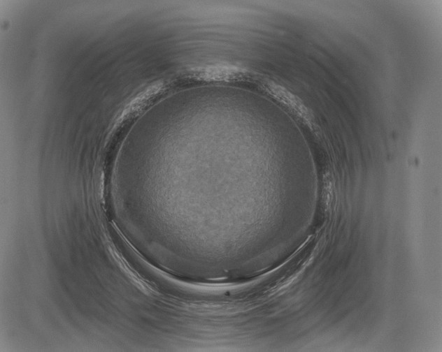 X0000084560589200703021425