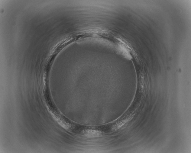 X0000084560590200703021425