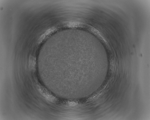 X0000084560592200703021425