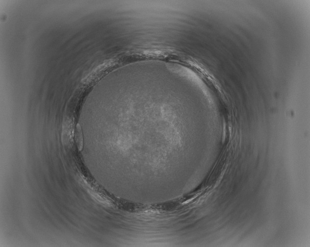 X0000084560593200703021425