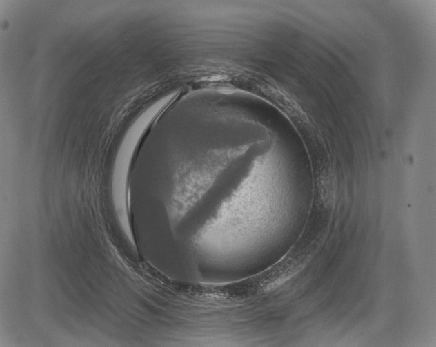 X0000084560594200703021425