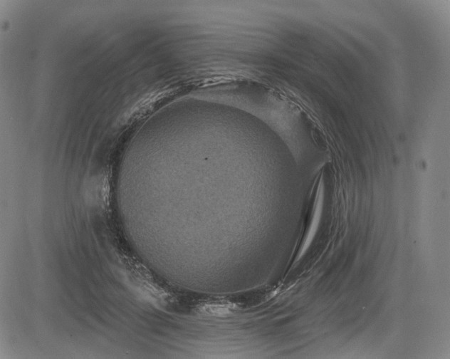 X0000084560595200703021425