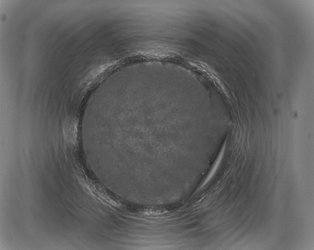 X0000084560596200703021425