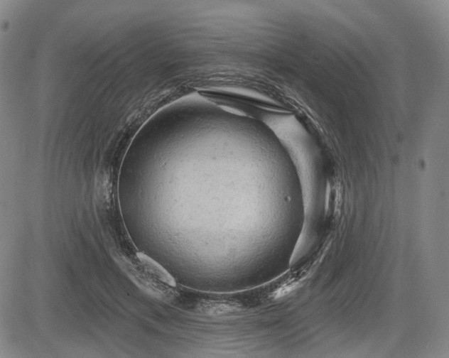 X0000084560597200703021425