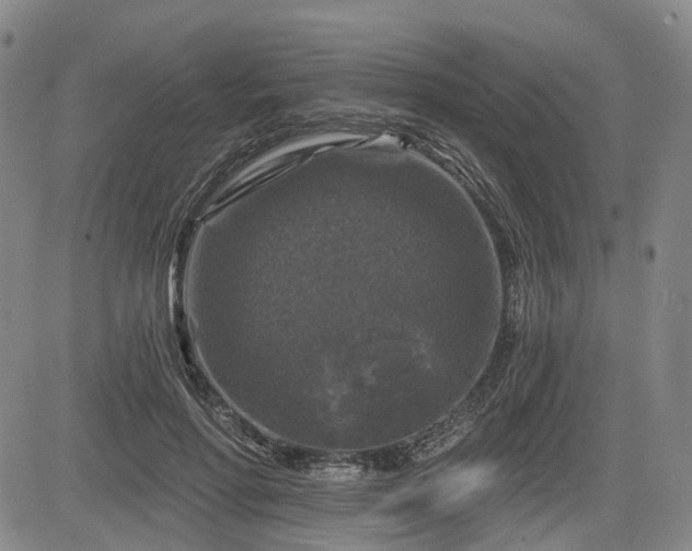 X0000084560598200703021425