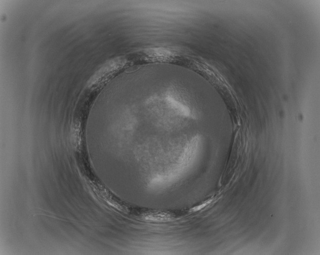 X0000084560599200703021425