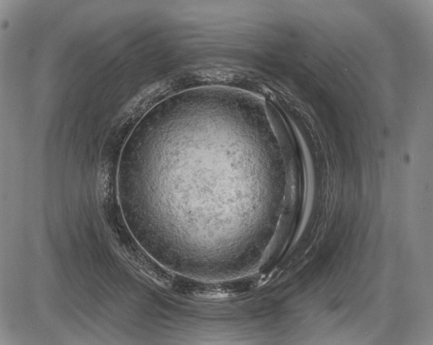 X0000084560600200703021425