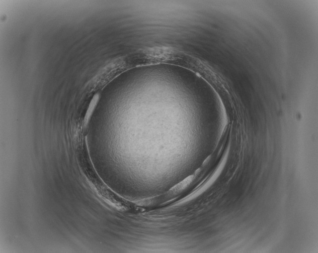 X0000084560601200703021425