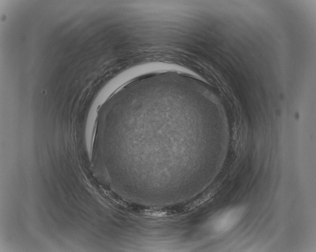 X0000084560602200703021425