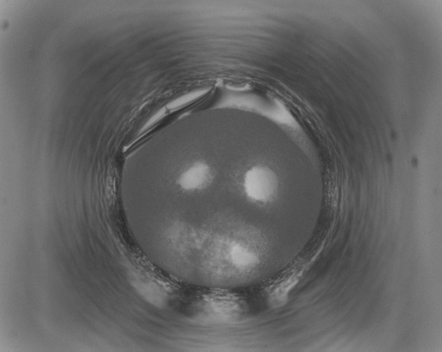 X0000084560603200703021425