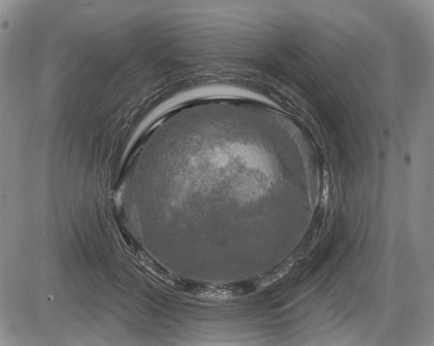 X0000084560604200703021425