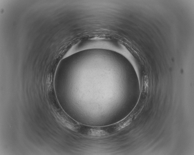 X0000084560605200703021425