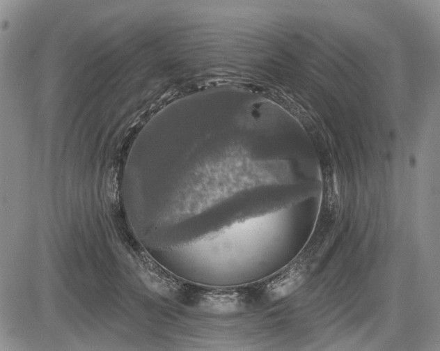 X0000084560606200703021425